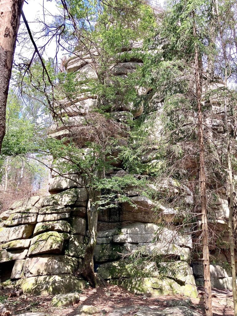 Der große, begehbare Bruder der beiden Schnarcherklippen auf dem Barenberg.