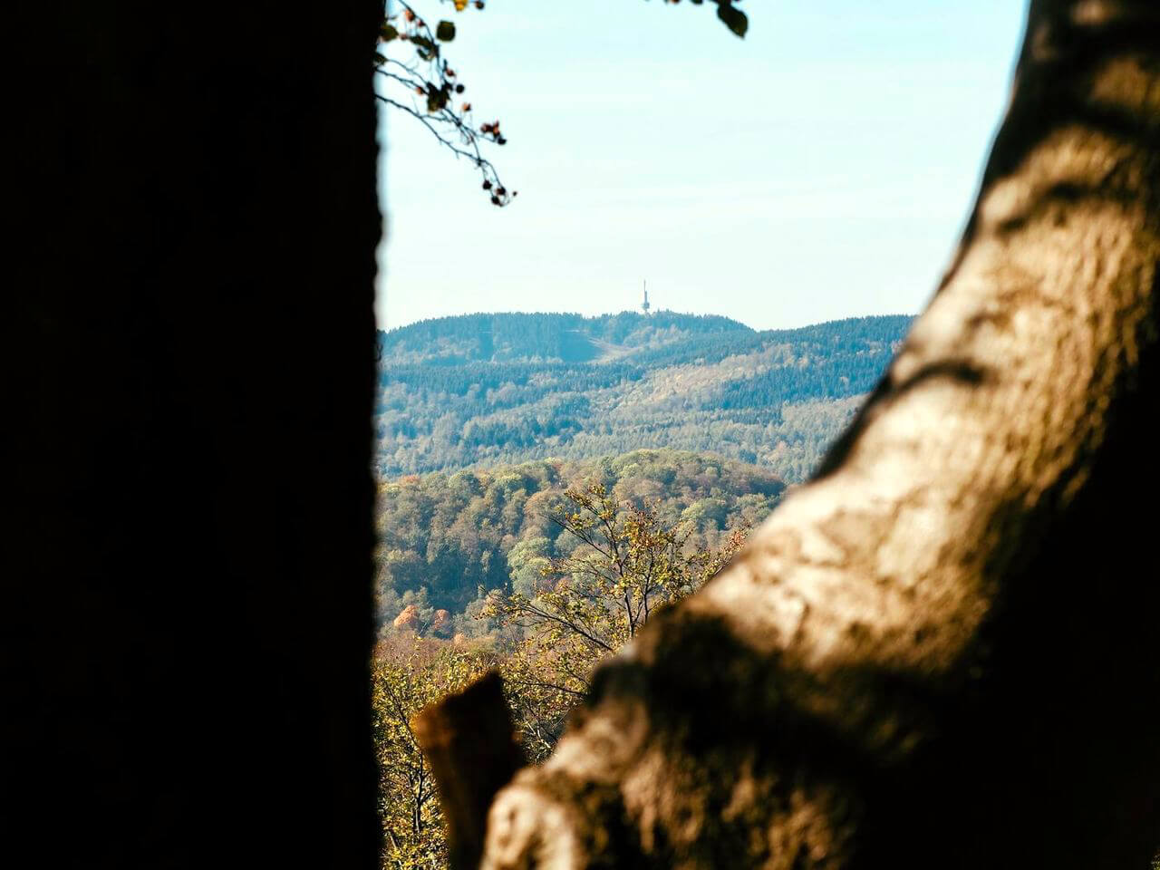 Ravensberg im Harz
